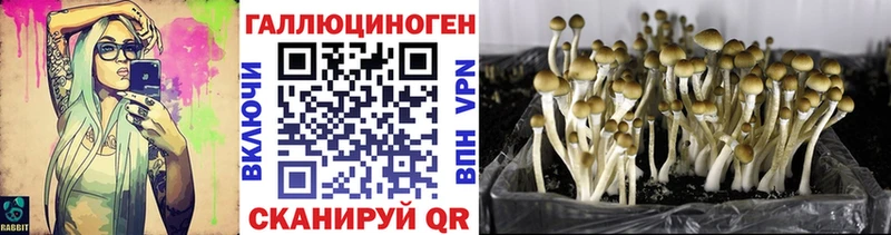 Галлюциногенные грибы Magic Shrooms  shop клад  Костерёво  KRAKEN зеркало 